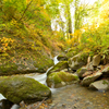 2025 秋-樽石川　散策④
