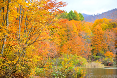 2025秋―月山　地蔵沼④