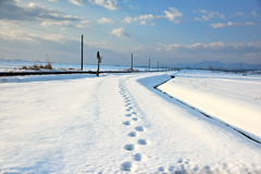 tracks in the snow
