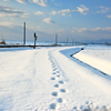 tracks in the snow