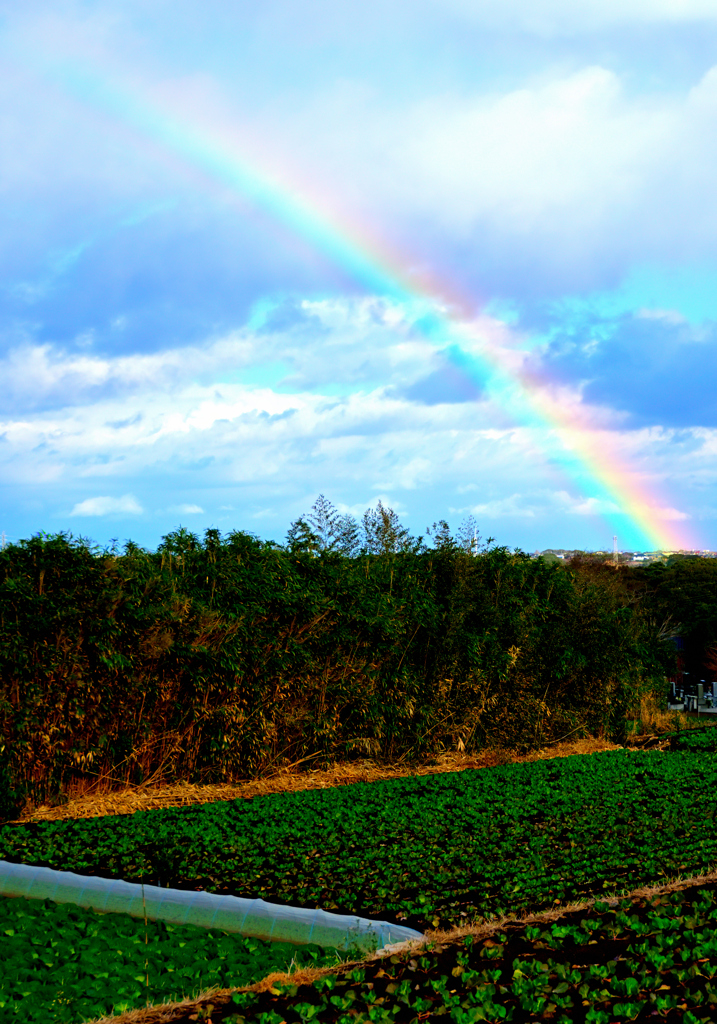 2026 正月　銚子散歩③