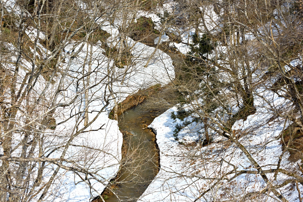 雪解けの入間川