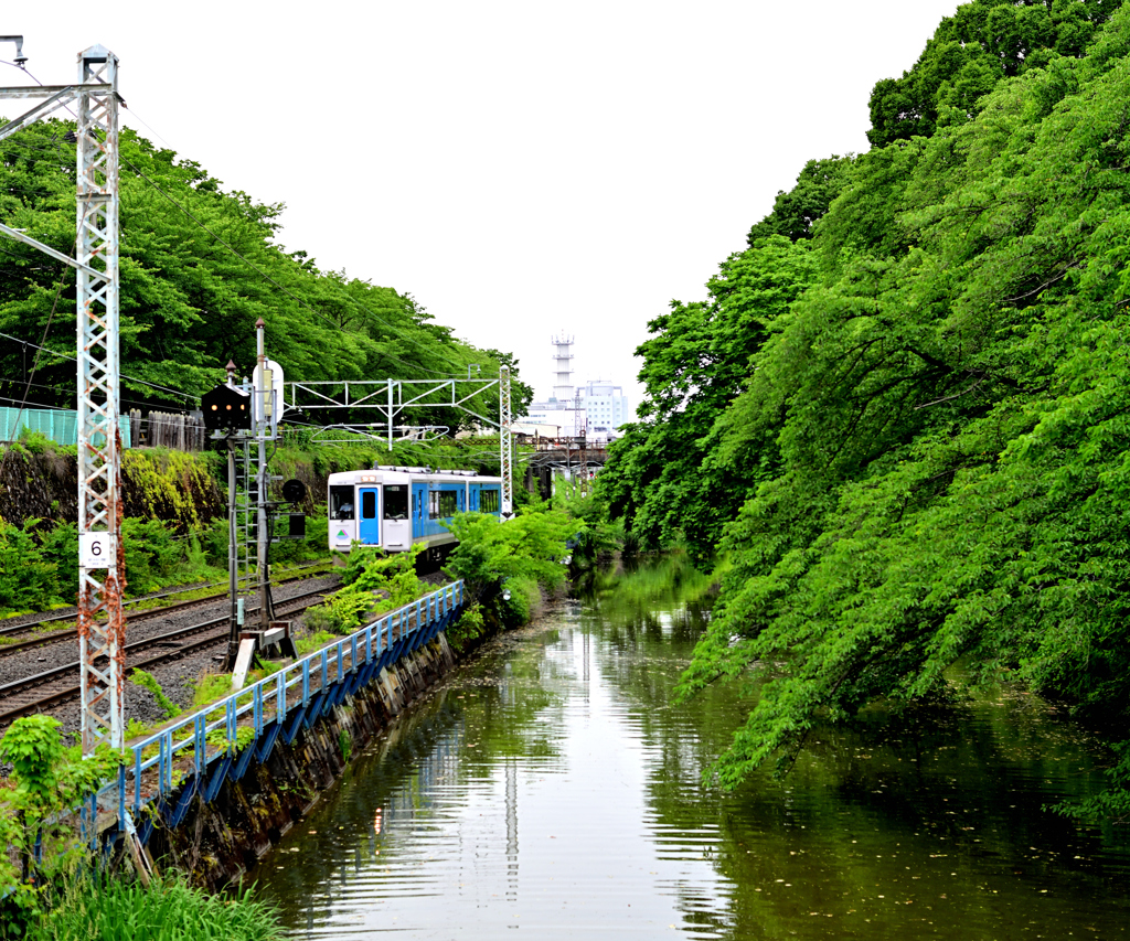 湿度高め