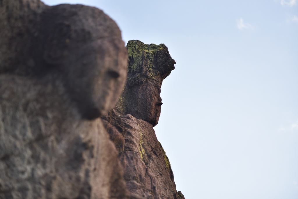 2023-3-4 十六羅漢