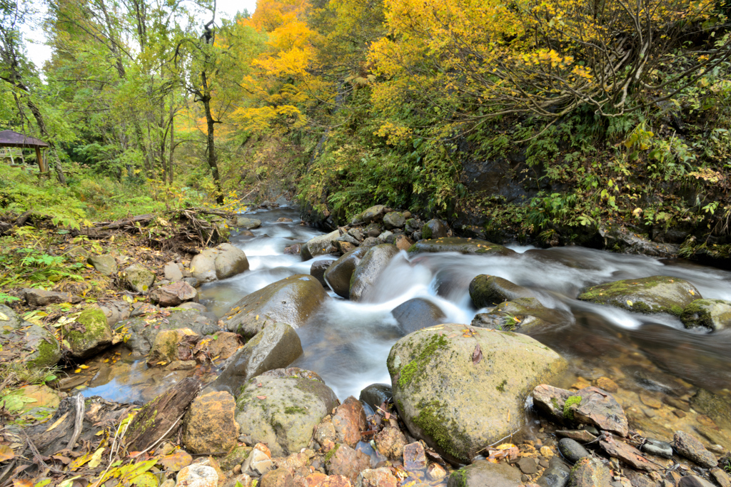 2025 秋-樽石川　散策③