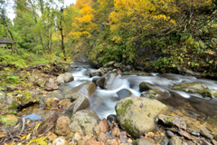 2025 秋-樽石川　散策③