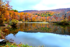 2025秋―月山　地蔵沼①