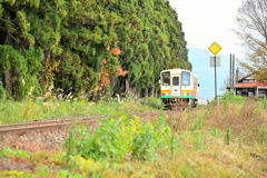 2025 秋　置賜①羽前成田