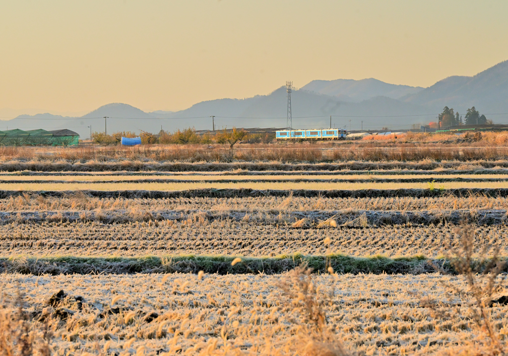 2025 冬　左沢線　堺踏切③