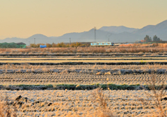 2025 冬　左沢線　堺踏切③