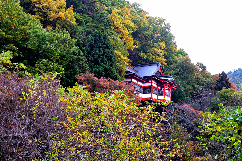 紅葉三昧②