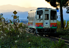 2025 秋　汽車の日②