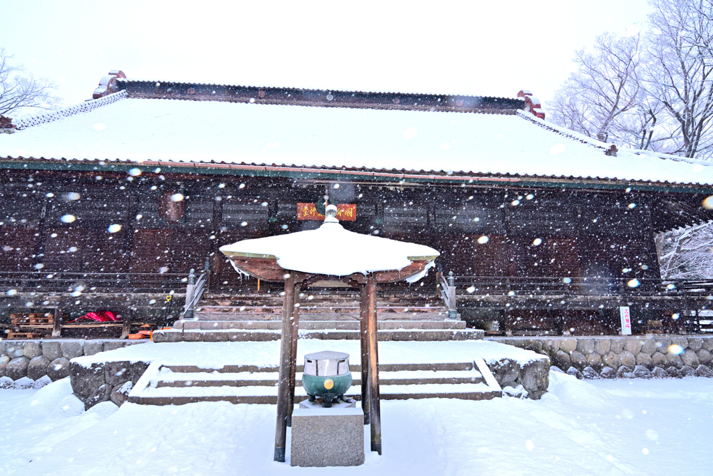 2026 -1-24 断続的な降雪②