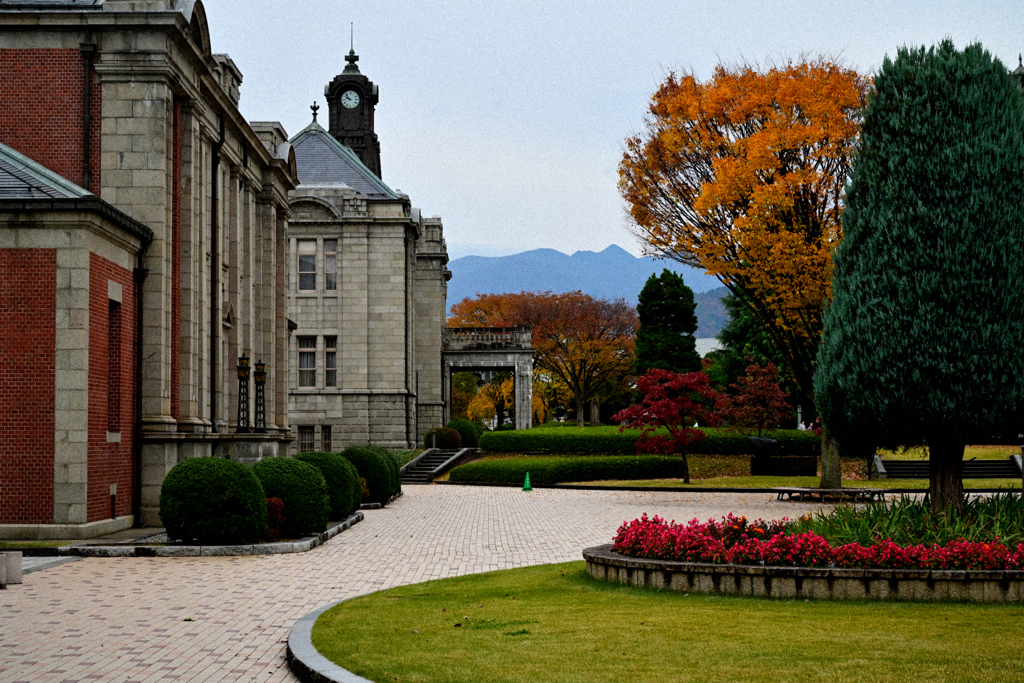 2025秋　山形県郷土館 文翔館　フィルムグレイン3⑧