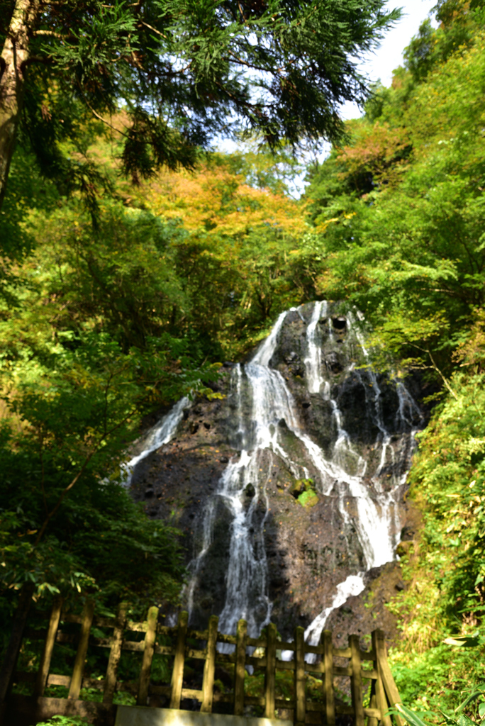 2022-10-22　不動の滝（開運出世の滝）