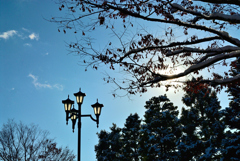 2025散歩写真納め④