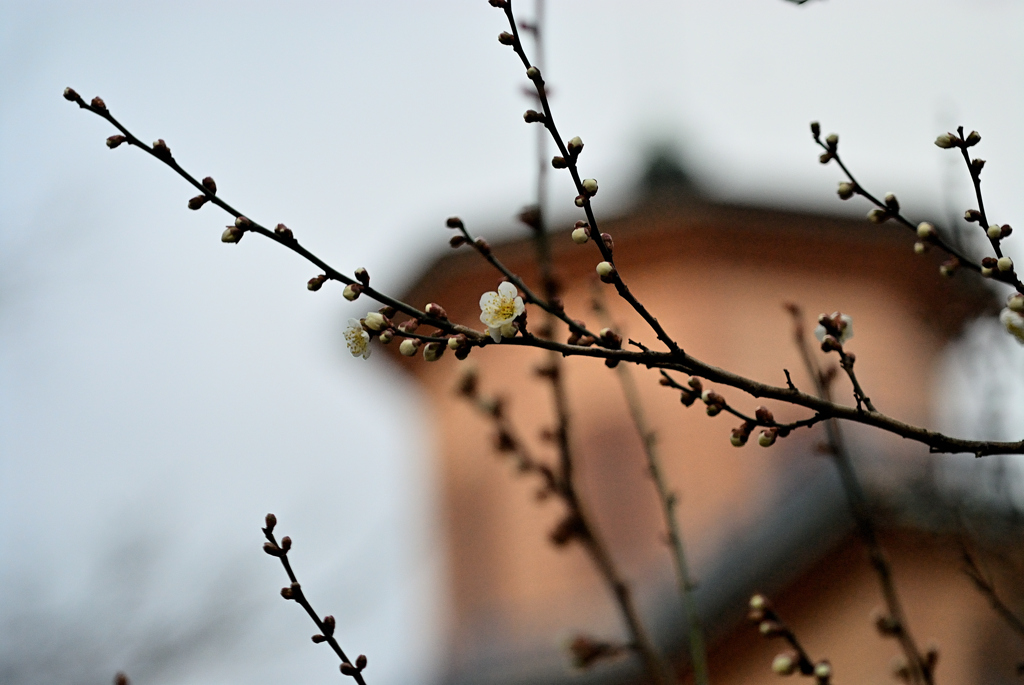 春は来ぬ 春ぞ来ぬ ⑥