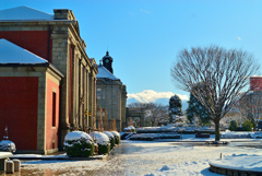 2025散歩写真納め③