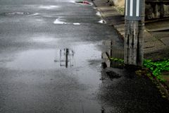 梅雨が始まった①