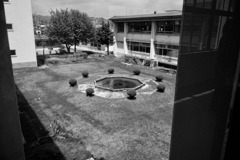 学校の中庭