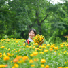 第40回 やまがた紅花まつり　紅花娘の写真撮影会①