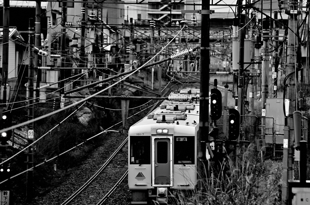 銀色のはるかな道④