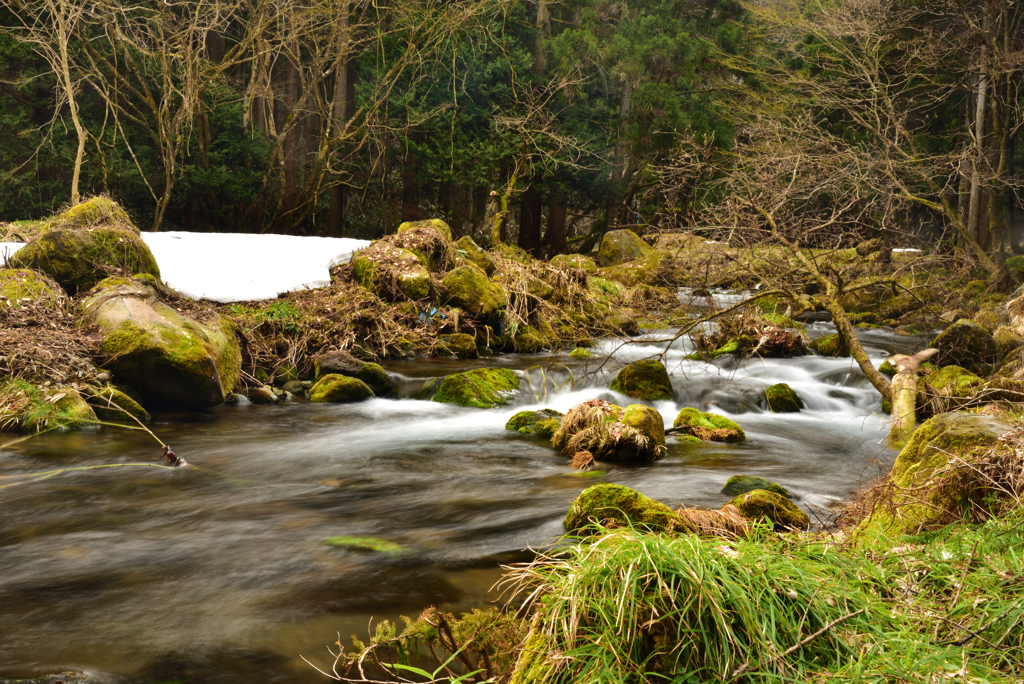 2023－3－19　元滝①