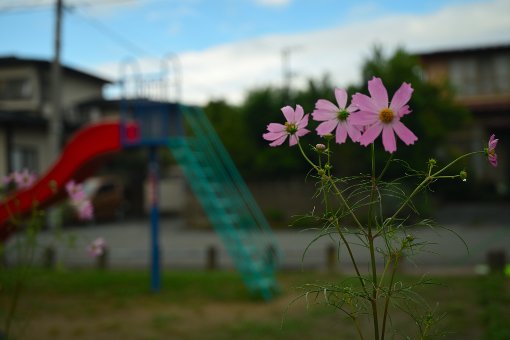 草刈り後の児童公園③