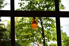 cafeから見る真夏