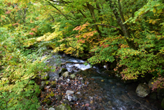 小川　獅子ヶ鼻湿原
