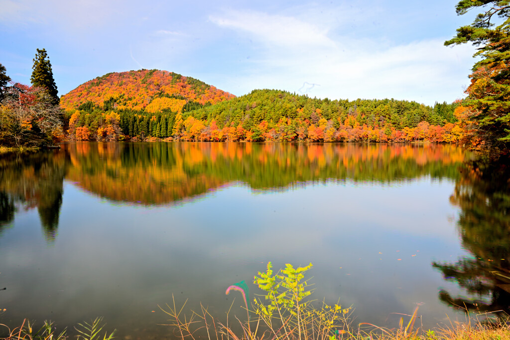 2025 秋　置賜⑤県民の森　大沼