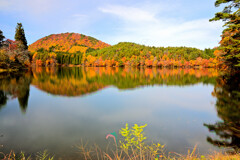 2025 秋　置賜⑤県民の森　大沼