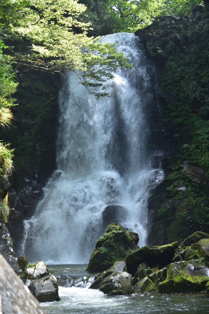 奈曽の白滝
