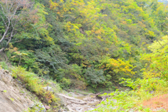 2025秋-古寺渓谷神通峡遊歩道⑦ 2025秋-古寺渓谷神通峡遊歩道⑦