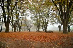 朝靄の霞城公園④