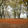 朝靄の霞城公園④