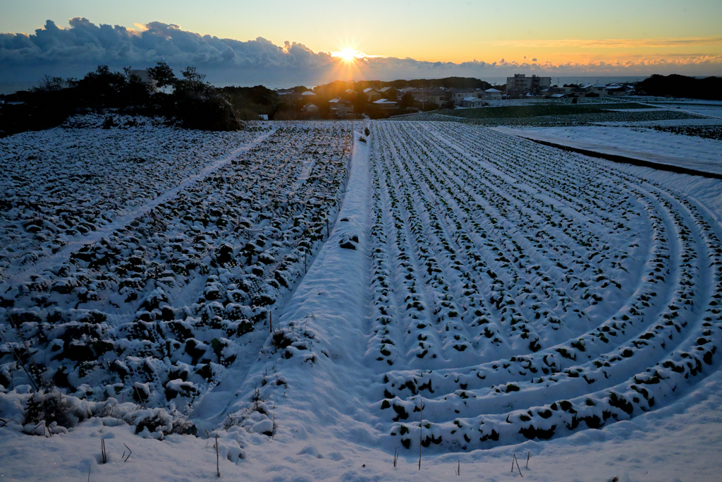 2026 正月　銚子散歩⑤