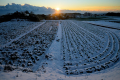 2026 正月　銚子散歩⑤