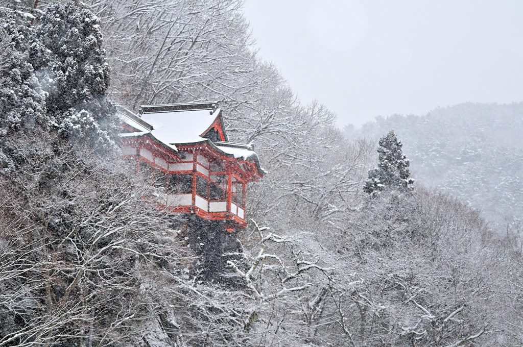 2026 -1-24 断続的な降雪①