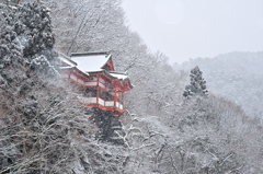 2026 -1-24 断続的な降雪①