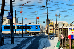 2025散歩写真納め②