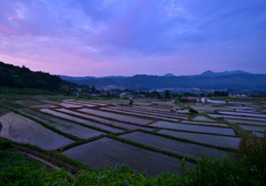 朝明けの棚田