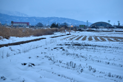 2026-2-7 小休止の降雪③