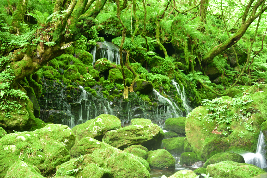 2021-6-26　元滝伏流水②