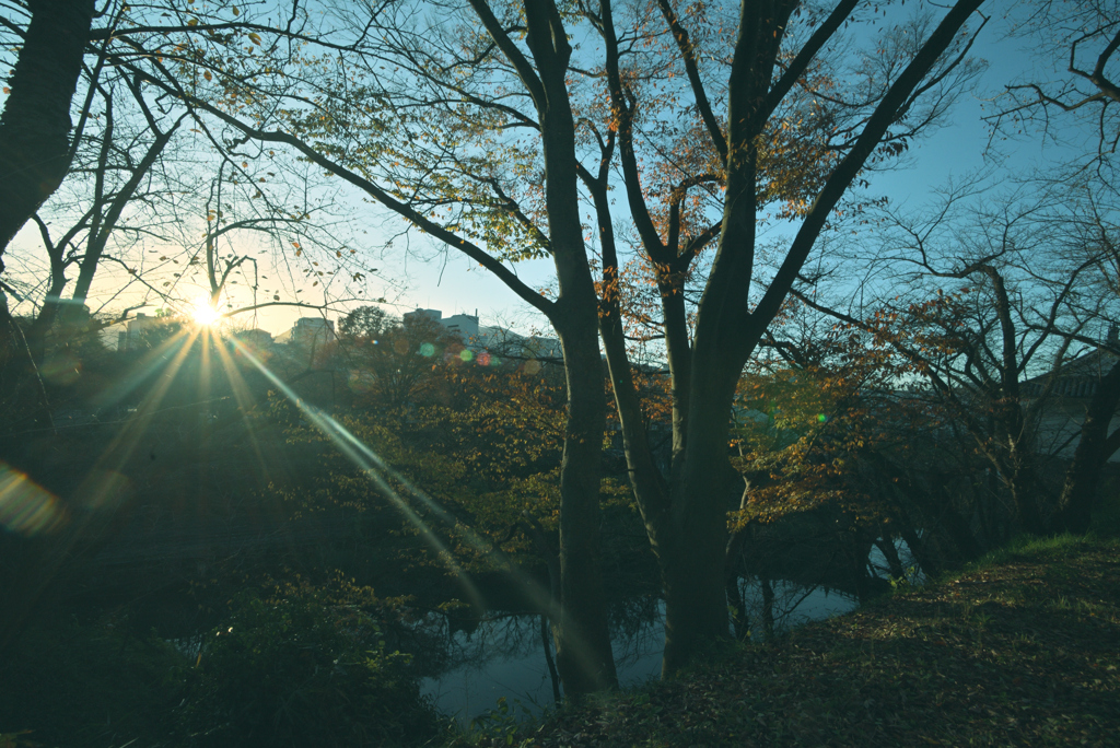 紅葉三昧　2023最終