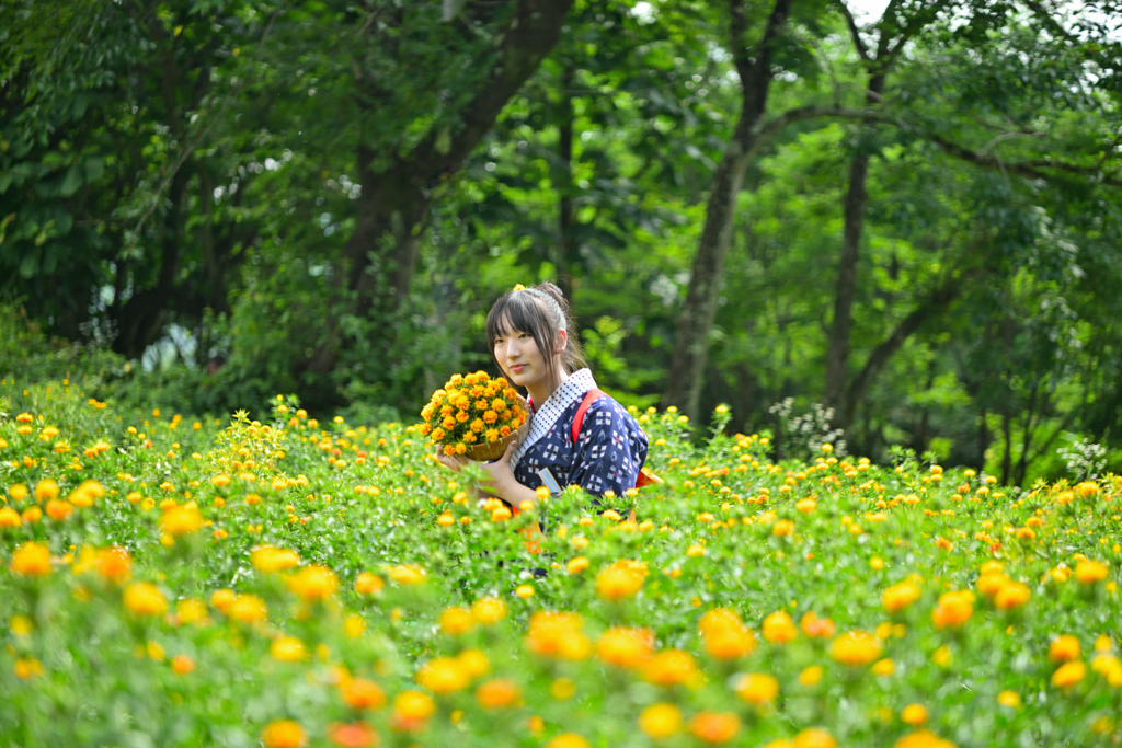 第40回 やまがた紅花まつり　紅花娘の写真撮影会②