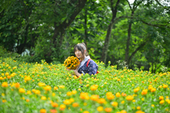 第40回 やまがた紅花まつり　紅花娘の写真撮影会②