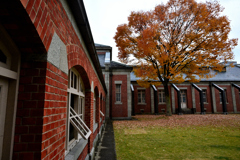 2025秋　山形県郷土館 文翔館　フィルムグレイン3⑤