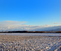 初積雪②