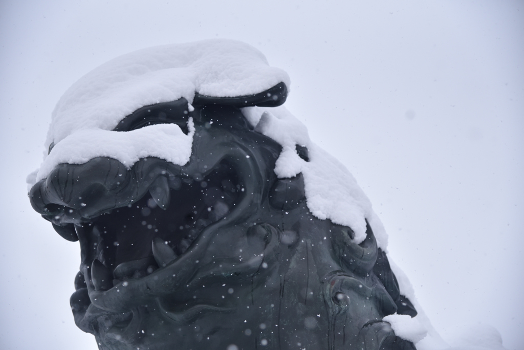 大雪の初詣